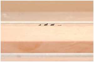 Höheneinstellung des Sägeblattes