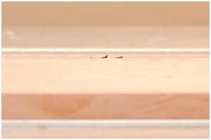 Höheneinstellung des Sägeblattes