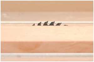 Höheneinstellung des Sägeblattes